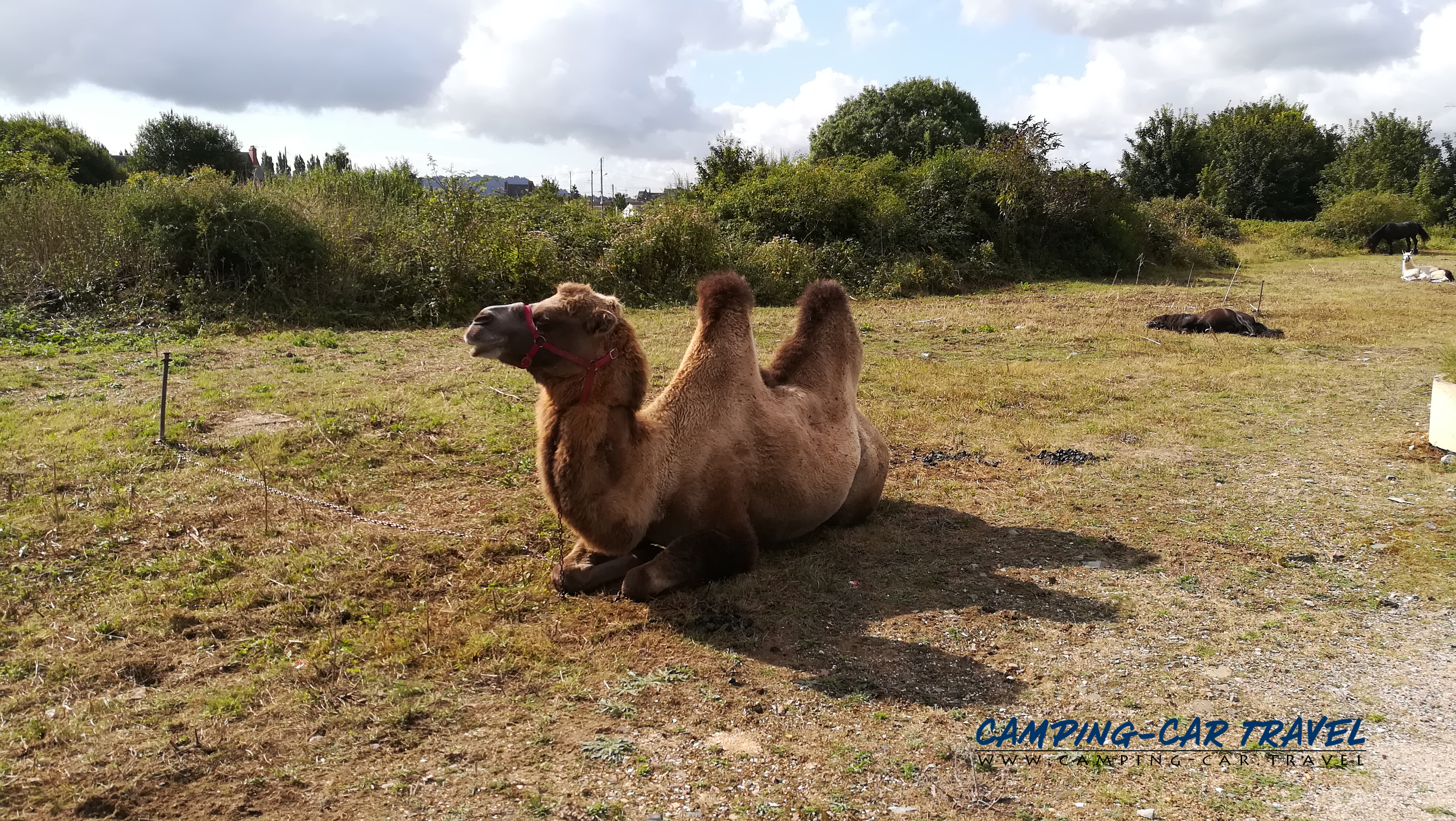 aire services camping car Dives-sur-Mer Calvados Normandie