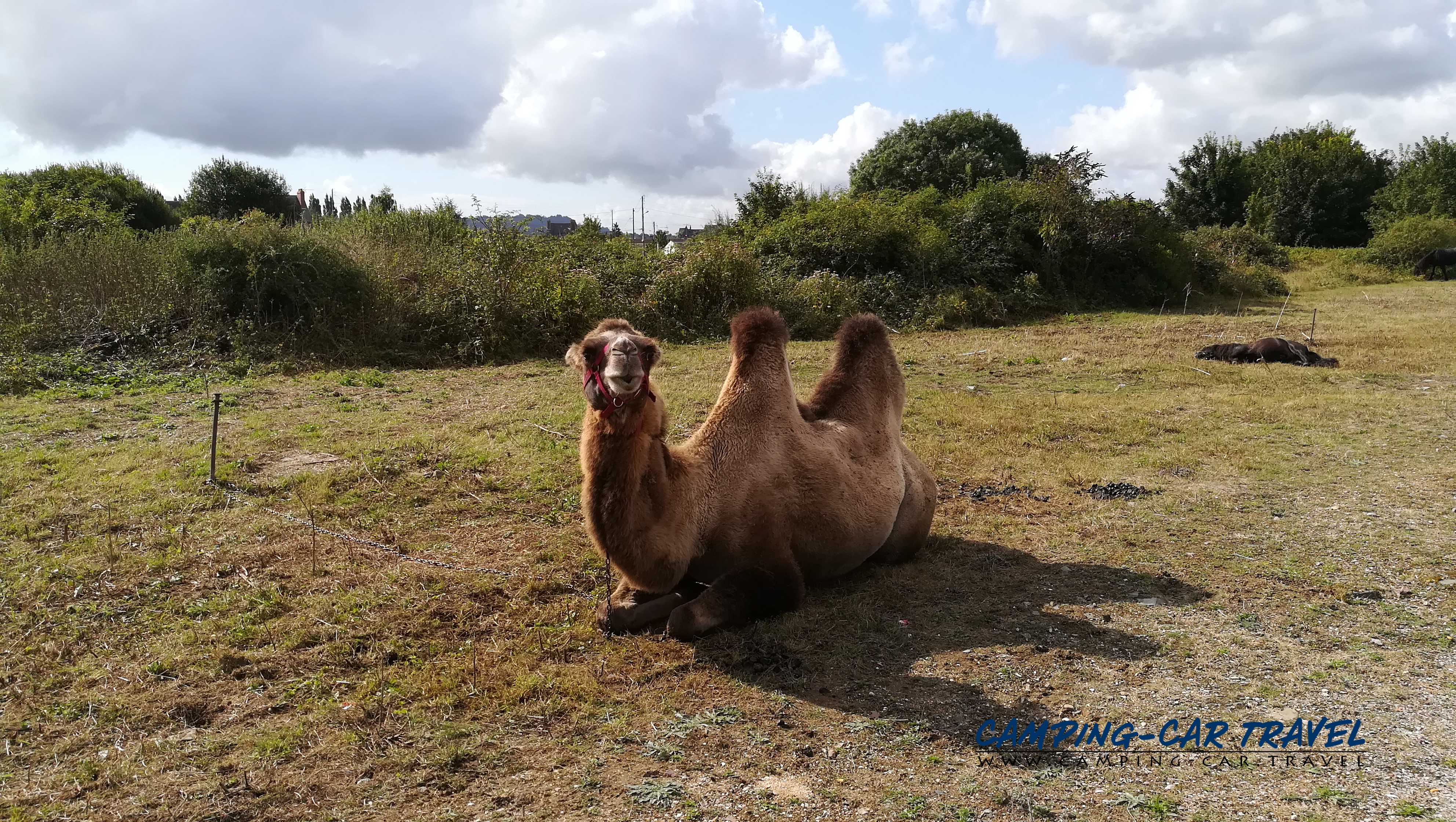 aire services camping car Dives-sur-Mer Calvados Normandie