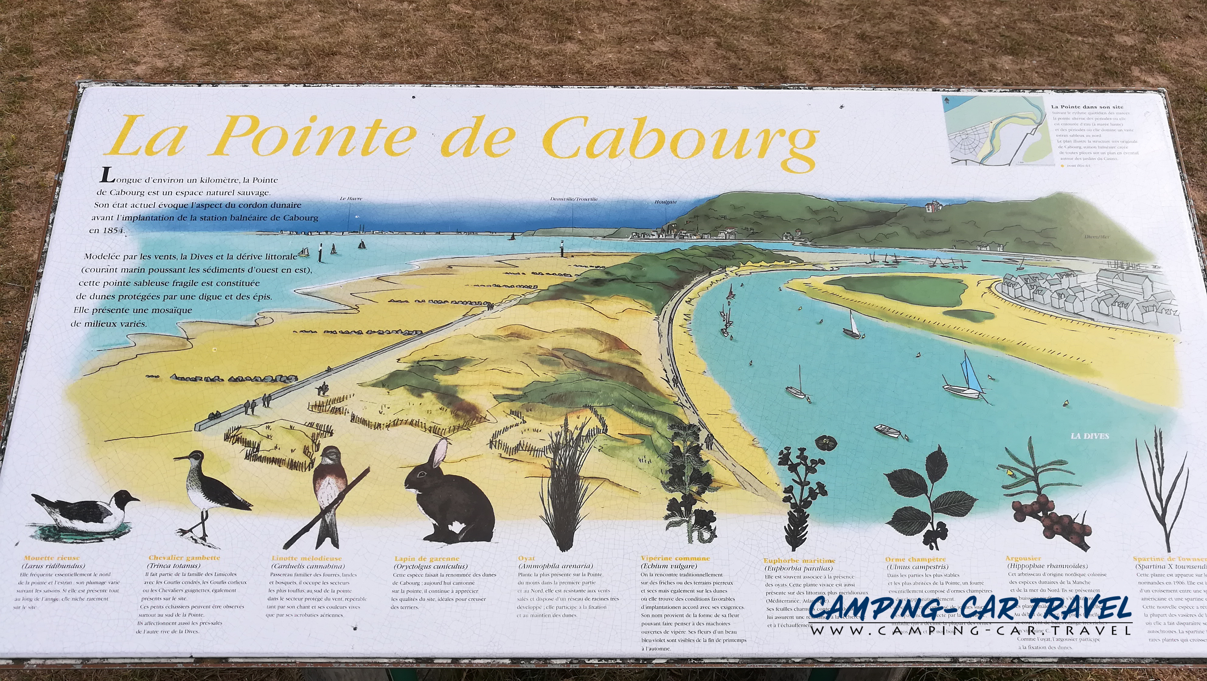 aire services camping car Dives-sur-Mer Calvados Normandie