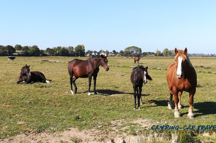 aire services camping car Sougéal Ile-et-Vilaine Bretagne