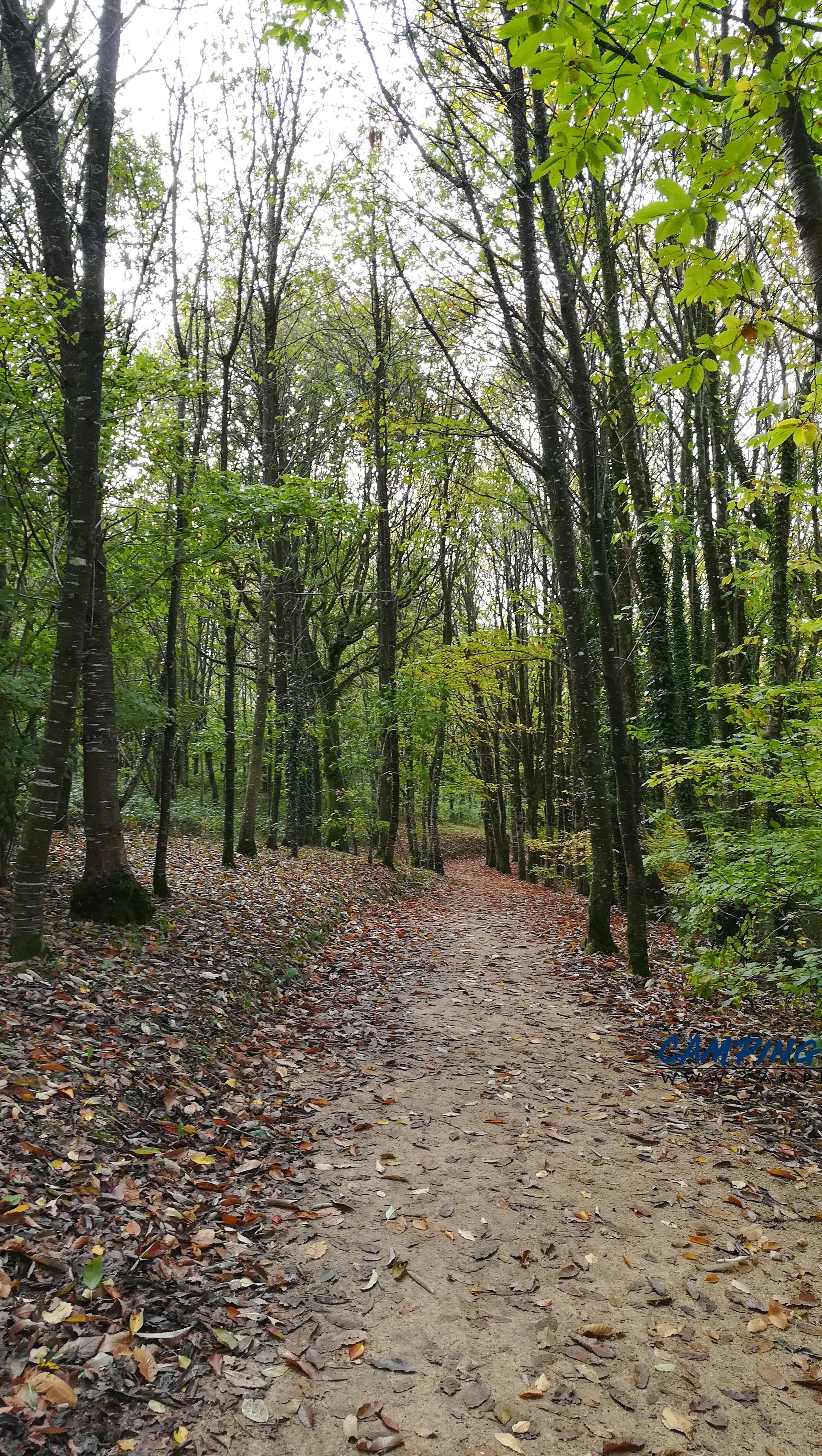 aire services camping car Sizun Finistère Bretagne